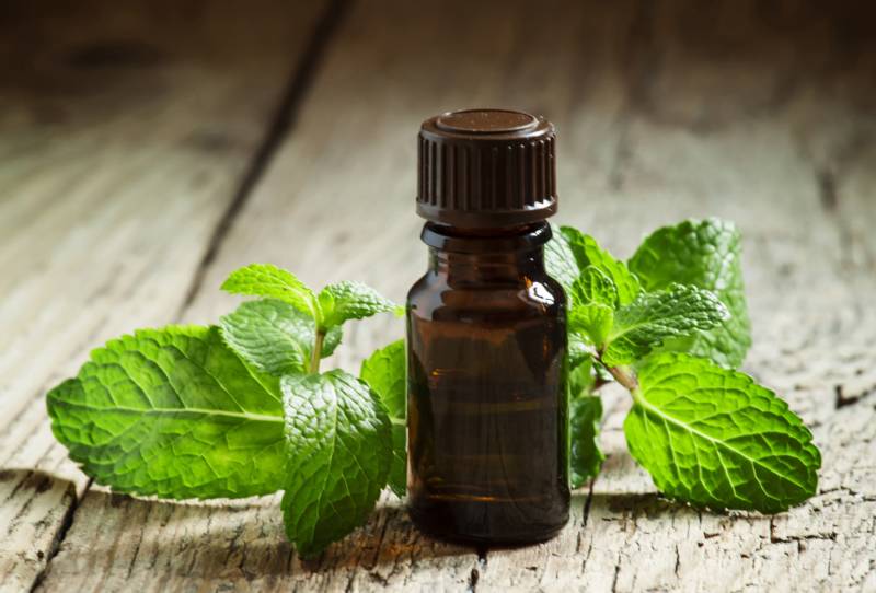 Essential oil of peppermint in a small brown bottle with fresh green mint on an old wooden background