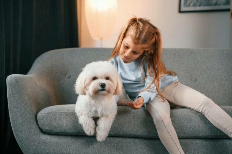 little girl indoors with maltese dog
