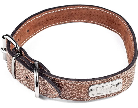 Mighty Paw Leather Dog Collar