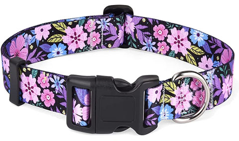 Mihqy Dog Collar with Bohemia Floral Tribal Geometric Patterns