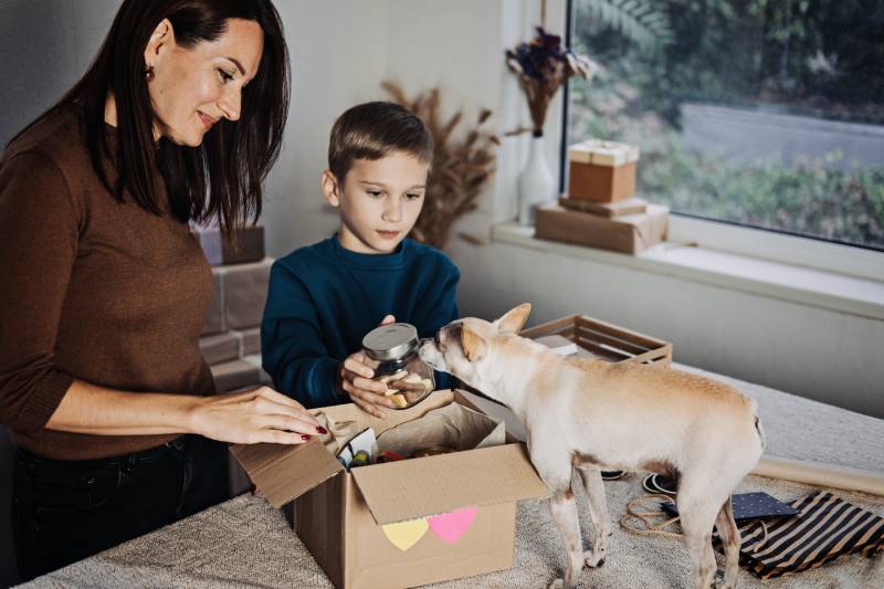 Pet shop owner, mom and kid putting bone in Pet Subscription Box for Dogs