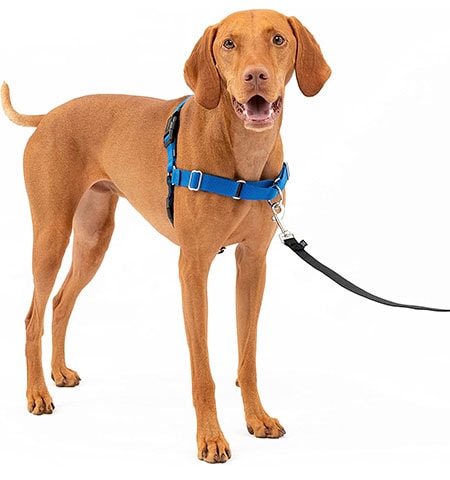 PetSafe Easy Walk No-Pull Dog Harness