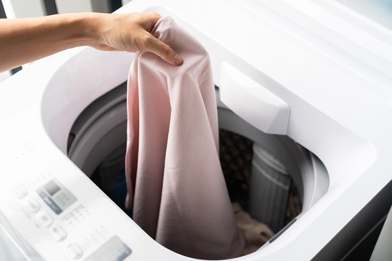 woman doing laundry in a washing machine