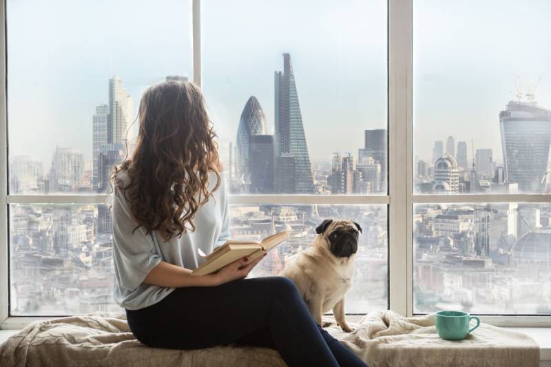 woman with pug dog sitting next to the window with book and enjoying amazing london view