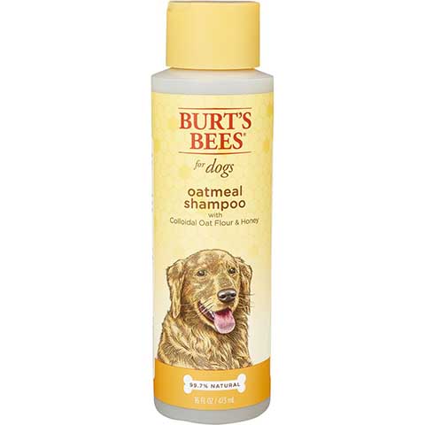 Burt’s Bees Oatmeal Shampoo With Colloidal Oat Flour & Honey for Dogs