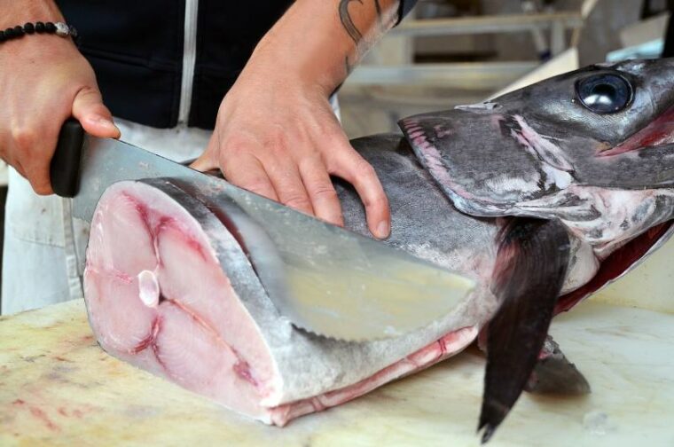 Chopping and slicing a swordfish