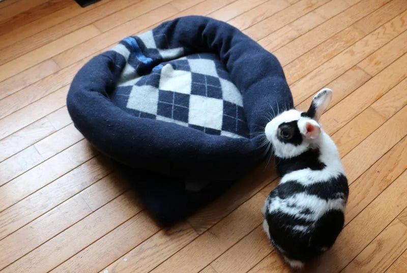 DIY Rabbit Bed