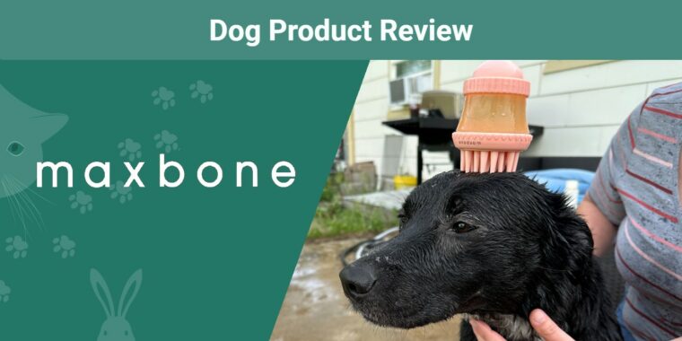 maxbone-deep-cleanse-product-review-dog-with-brush