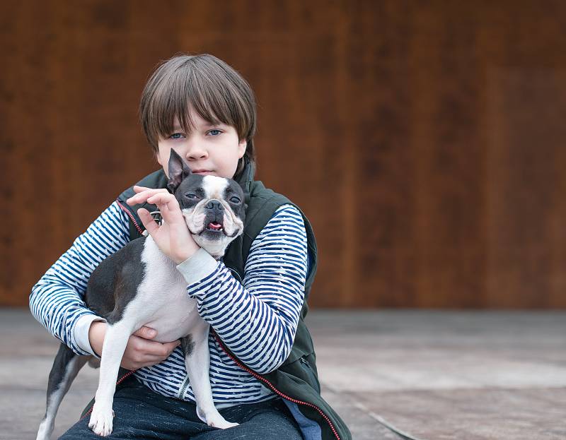 niño sosteniendo y abrazando a un perro boston terrier