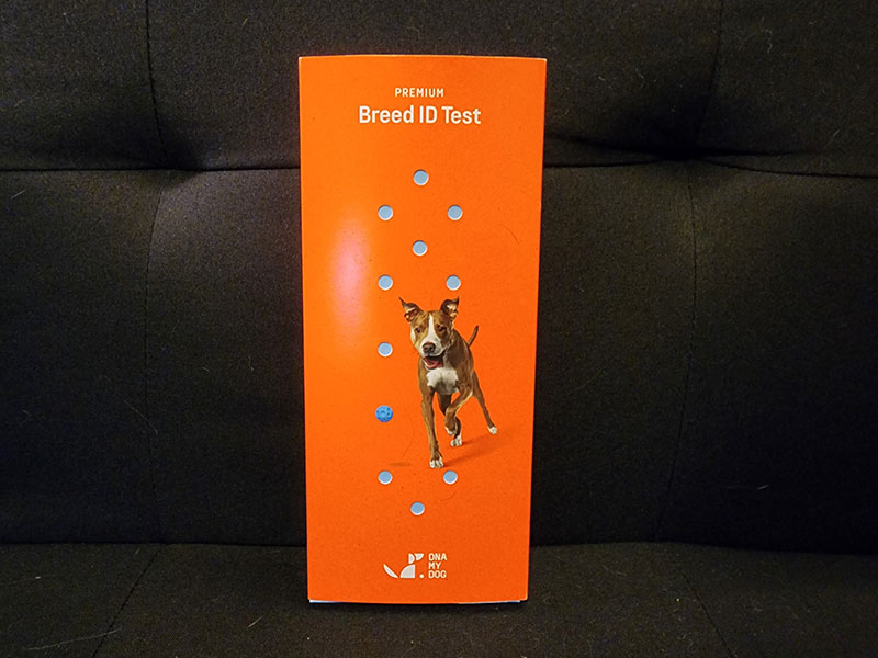 dna my dog premium breed id test kit