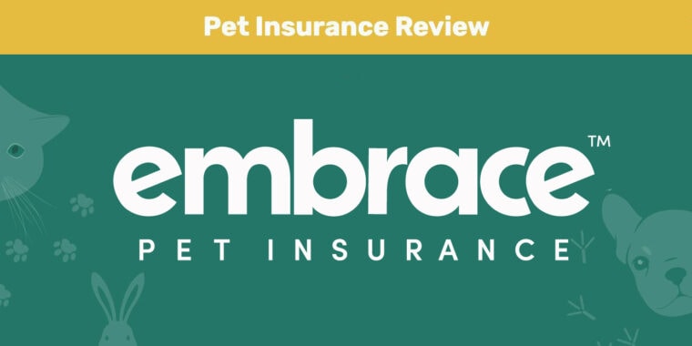 embrace insurance review 2