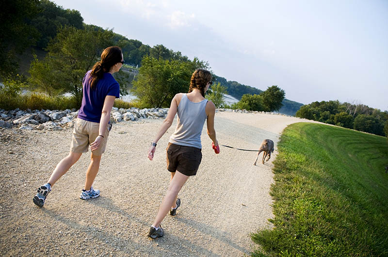 two women going for a run with a weimaraner dog