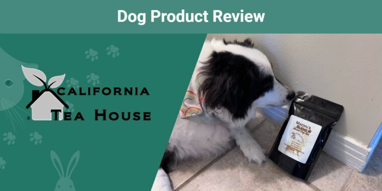 California tea house dog with product SAPR featured image