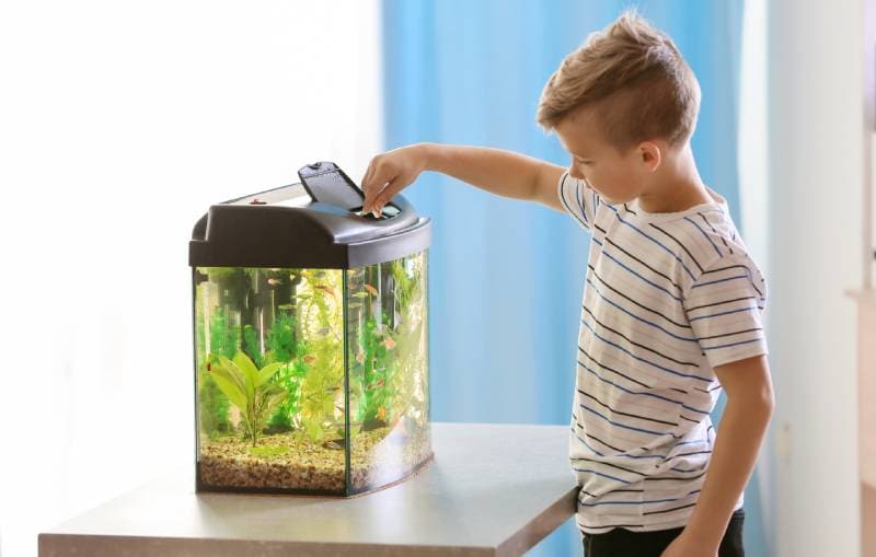 Cute little boy feeding fish in aquarium