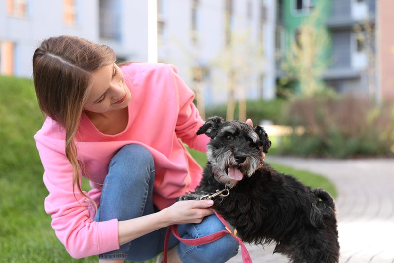 Dog Owner Young woman with Miniature Schnauzer dog outdoors