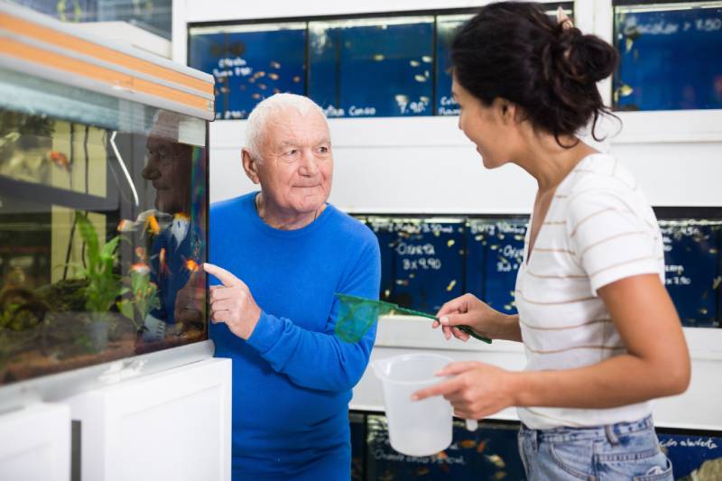 Empleado de una tienda de mascotas ayuda a un anciano a elegir un pez de acuario