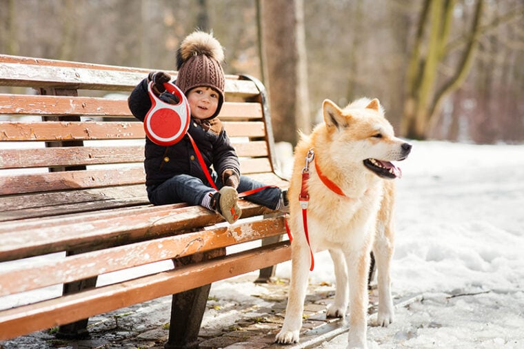 little boy sitting on the bench holding the leash of an akita inu dog