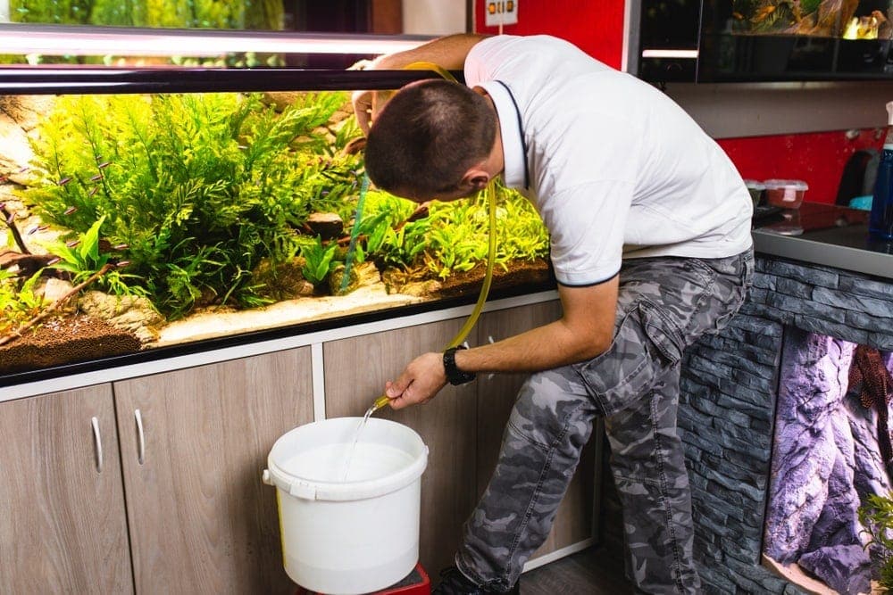 man cleaning and changing water in aquarium tank