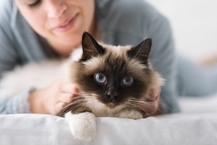 smiling woman lying on the bed and cuddling her soft beautiful cat