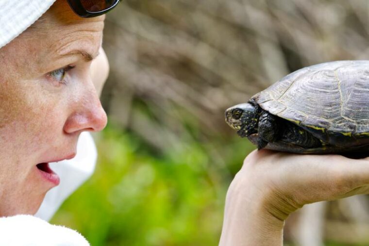 woman hold European turtle