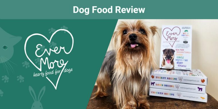 Evermore Dog Food SAPR review featured image