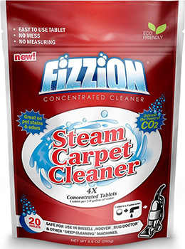 Fizzion Steam Carpet Cleaner