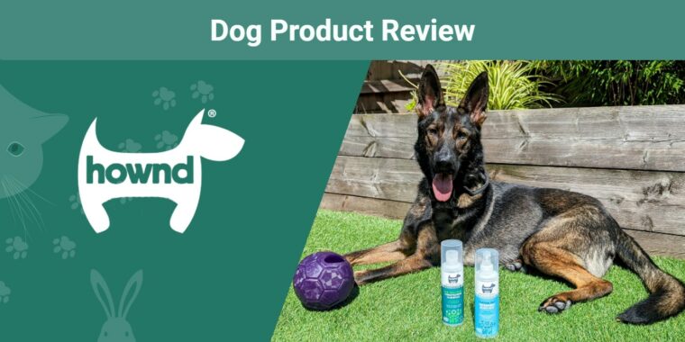 HOWND SAPR custom featured image dog with products