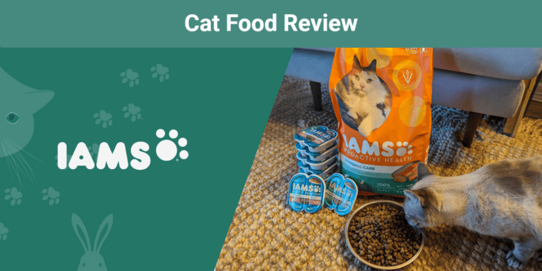 IAMS Cat Food Review SPRR Featured Image