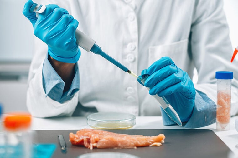 microbiologist testing raw poultry meat for the presence of salmonella