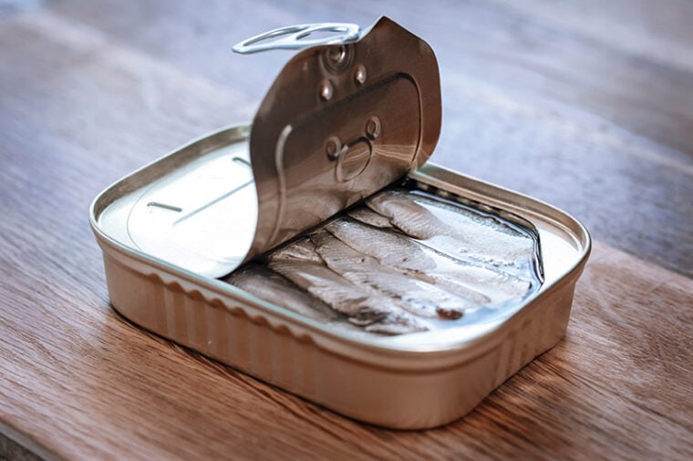 water-based sardines in can on the table