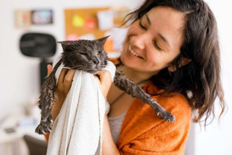 woman taking care of her blind cat and drying with a towel after a bath