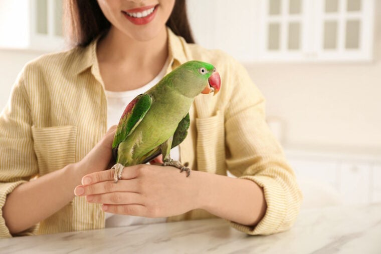 woman with parakeet