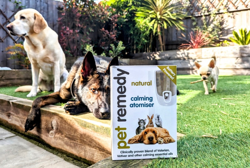 Bailey, Kodah and Ned with pet remedy calming atomiser box