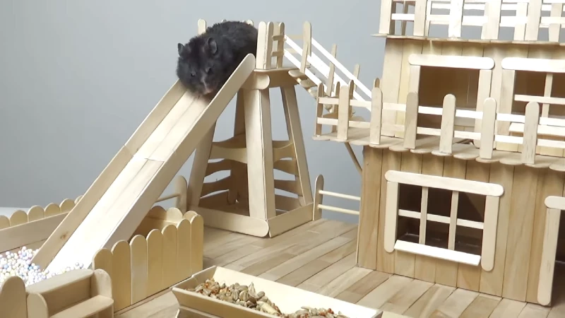 DIY Popsicle Stick Hamster House & Slide