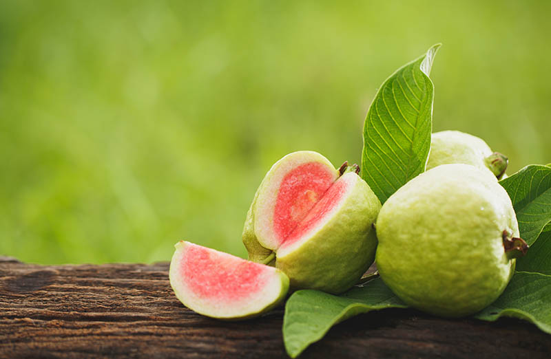 Guava sliced on wood table with green natural background