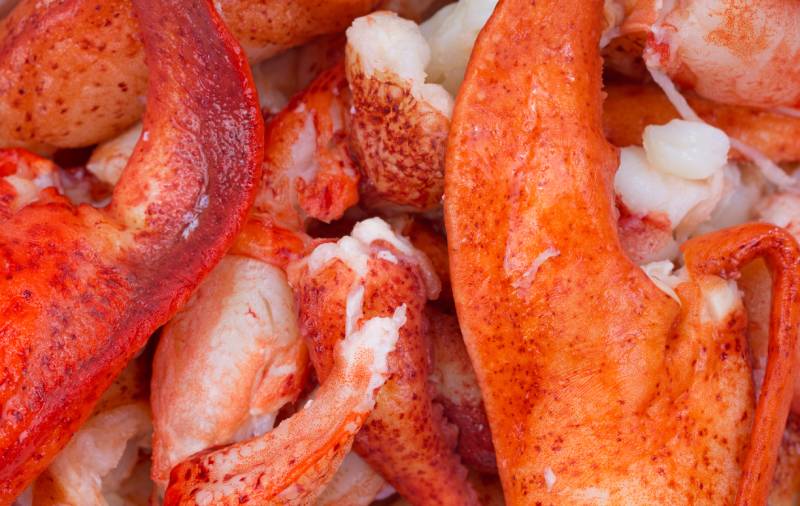 close view of meat from cooked lobster