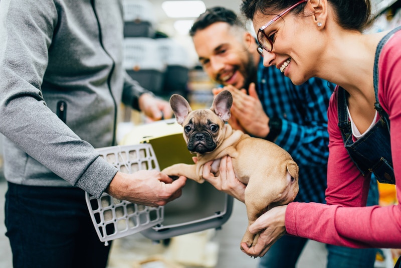 couple buying puppy in pet shop