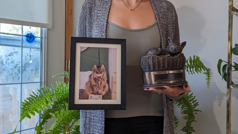 dena's portrait and ashes in cremation urn from perfect memorials