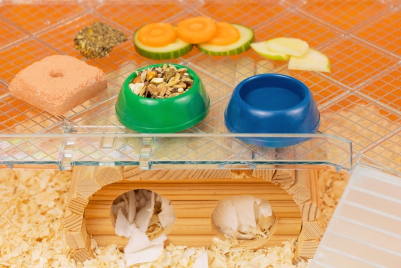 Clean hamster cage with water and food bowls