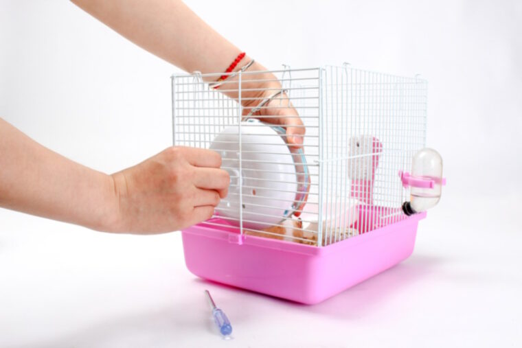 Hamster cage maintenance