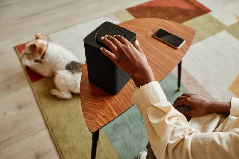 dog resting while the female hand pushing button on smart speaker to play music