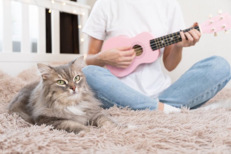 girl cat owner playing a song