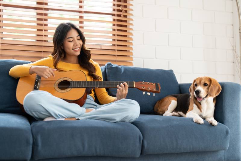 woman playing guitar with beagle dog