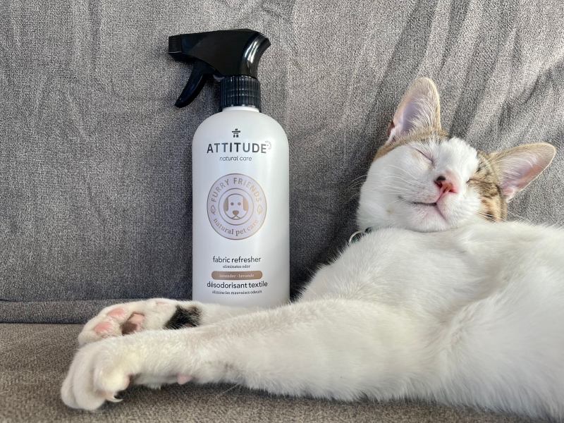 ATTITUDE Pet Products - cat sleeping on the couch with fabric refresher product