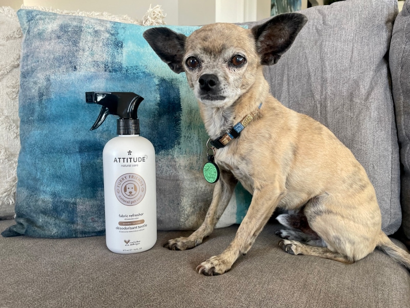 ATTITUDE Pet Products - papyrus on the couch with fabric refresher product