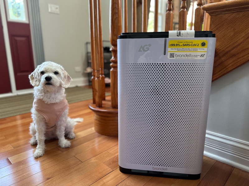 Brondell Pro Sanitizing Air Purifier - nora sitting next to the product