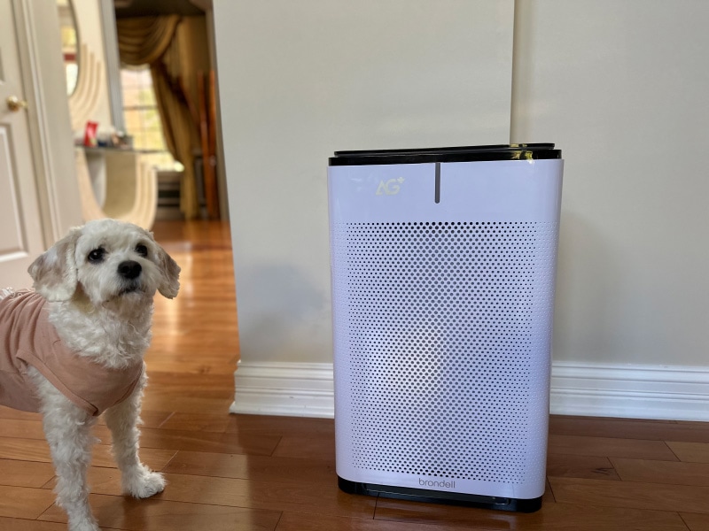Brondell Pro Sanitizing Air Purifier - nora standing next to the product
