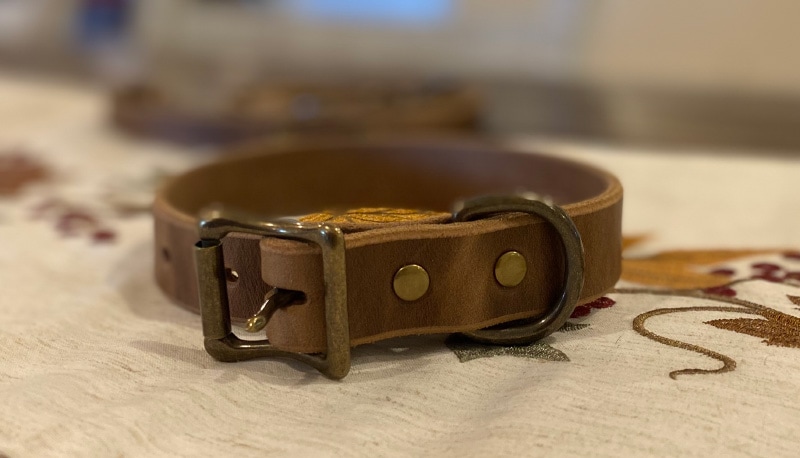 Popov Leather Dog Collar