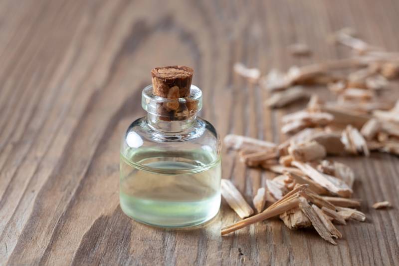 bottle of essential oil with pieces of cedar wood on a table
