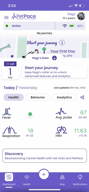 PetPace Smart Collar - health menu on the app